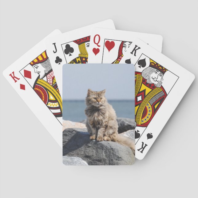 Baralho Windswept Cat by Sea (Verso)