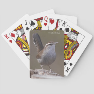 Baralho Wren Songbird de Bewick em Treestump