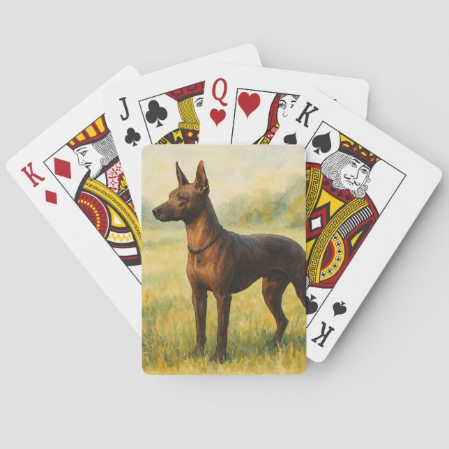 Baralho Xoloitzcuintli (Verso)