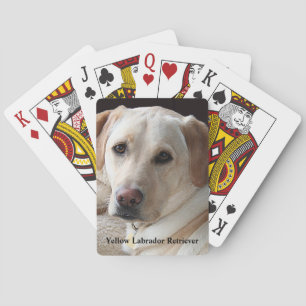 Baralho Yellow Labrador Retriever
