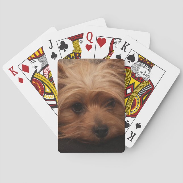 Baralho Yorkshire Terrier Playing Cards (Verso)