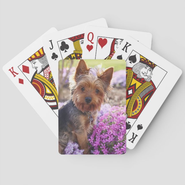Baralho Yorkshire Terrier Playing Cards (Verso)