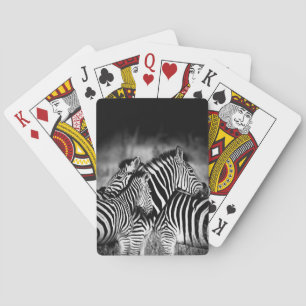 Baralho Zelo de Zebra