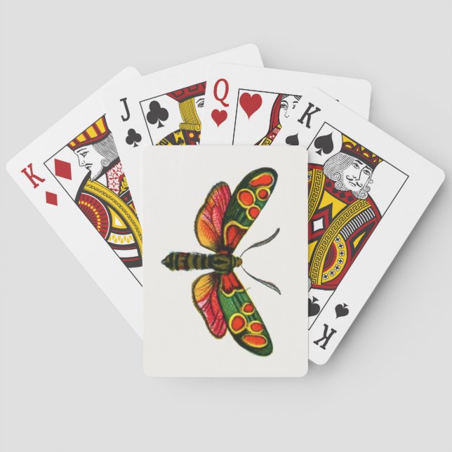 Baralho Zygaena carniolica - A Gente De Burnet (Verso)