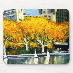 Barcos Brinquedos no Parque Mousepad