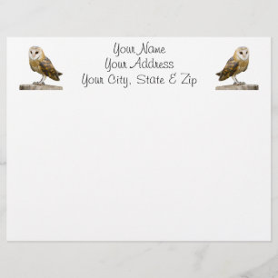 Barn Owl