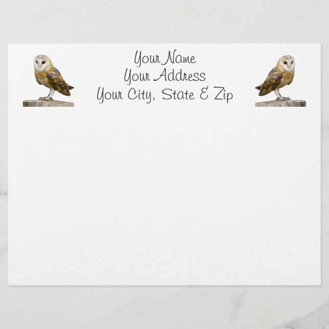 Barn Owl (Frente)