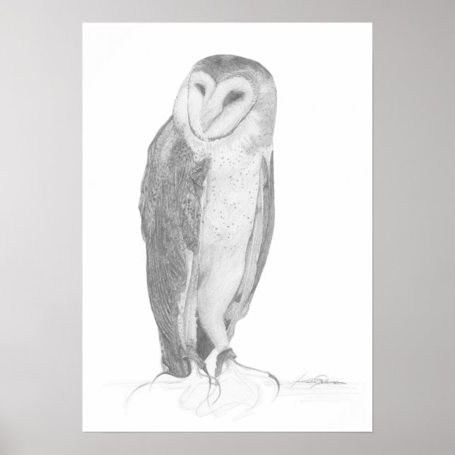 Barn Owl | Art Impressão (Frente)