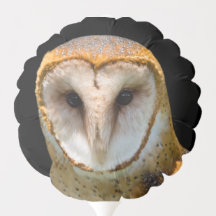 Barn Owl Balon