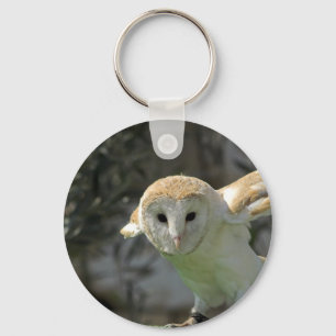 Barn Owl Chaveiro