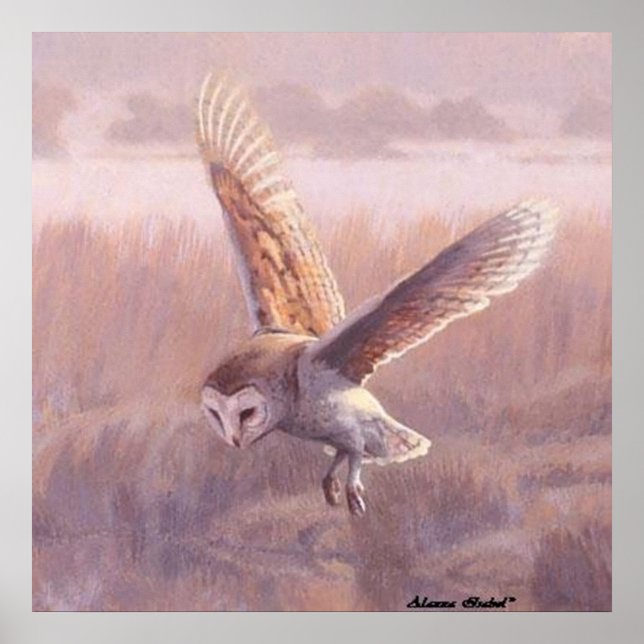 Barn Owl Poster (Frente)