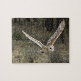 Barn Owl Quebra-cabeça