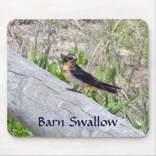 Barn Swallow on Fence Mousepad