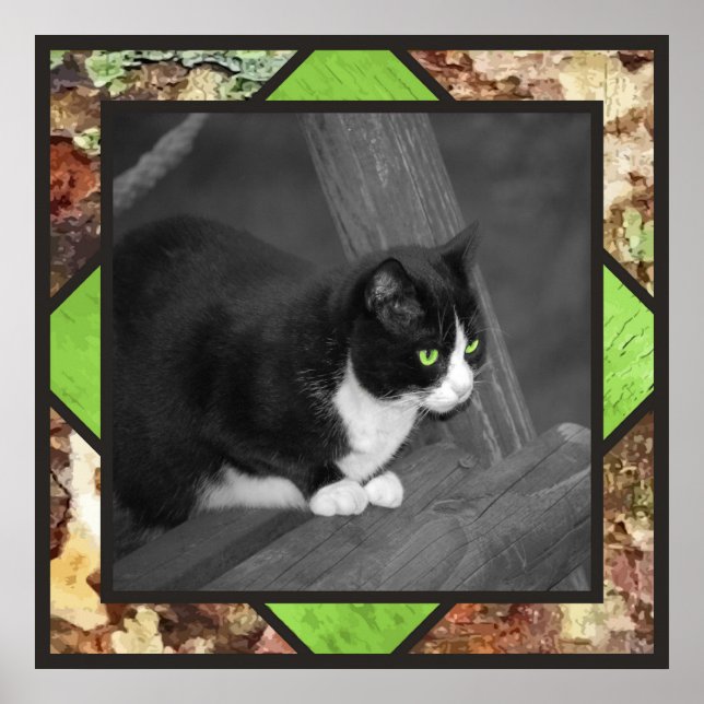 Barnyard Cat Poster (Frente)