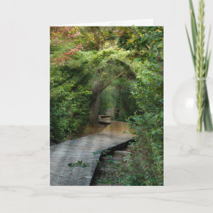 Barragens Solares Florestais para Cartão de condol