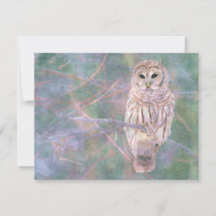 Barred Owl Pastel Oilpainting