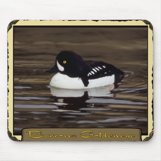 Barrows Goldeneye em Calm Lake Mousepad (Frente)