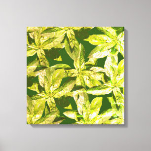 Basil Herb, Cozinha Arte, Canvas