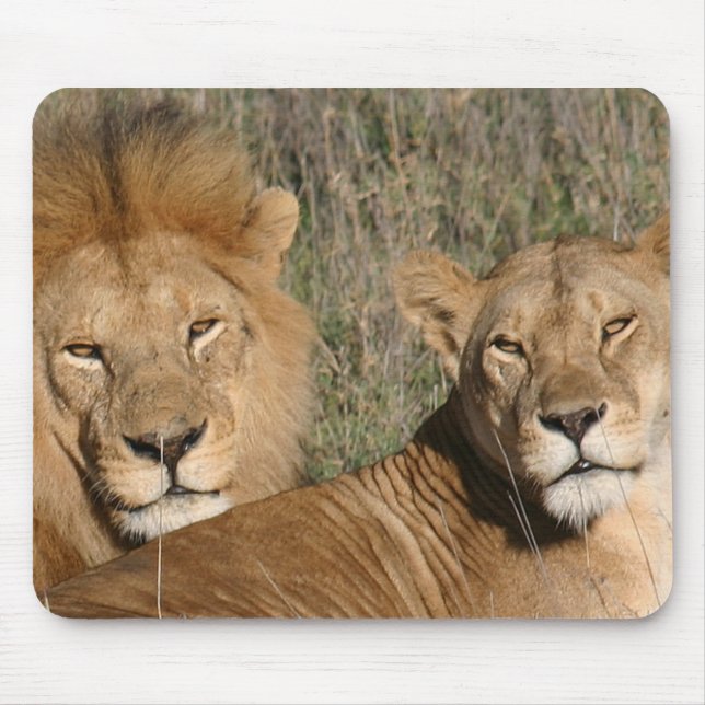Basking no Sun - o Mousepad (Frente)
