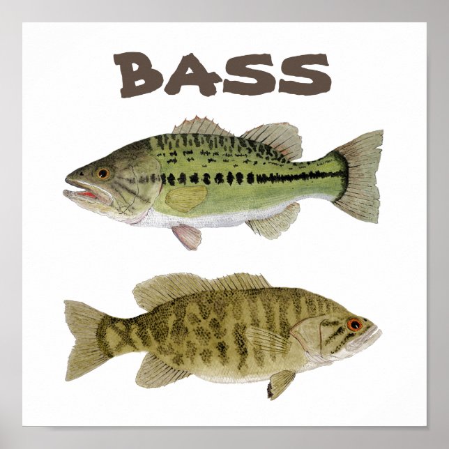 Bass art poster (Frente)