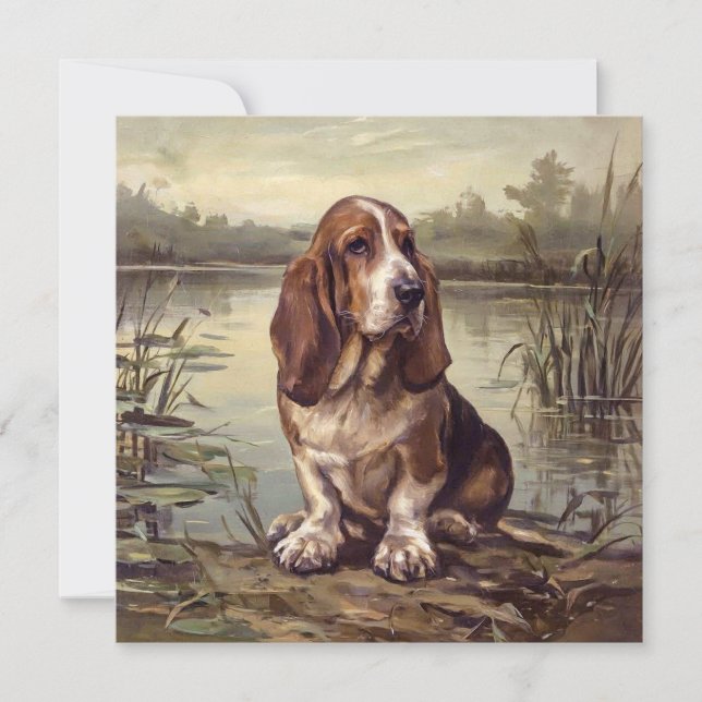 Basset Hound (Frente)