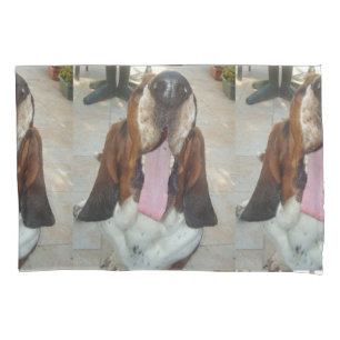 basset_hound bocejando