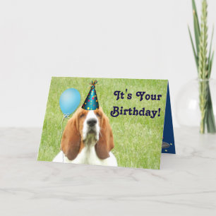 Basset Hound com cartão de aniversário