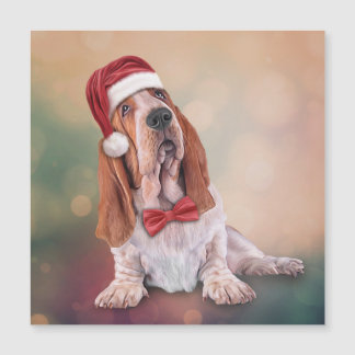 Basset Hound no chapéu vermelho de Papai Noel