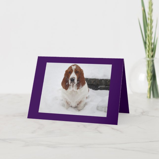 Basset Hound sem o cartão de saudação. (Frente)