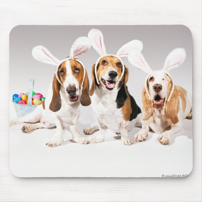 Basset Mousepad do felz pascoa (Frente)