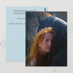 Batata Frita Cavalo Friesian - Cartão Postal