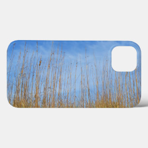 Beach Grass por Shirley Taylor