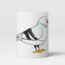 Beach Gull Seagull Nova Iorque Pigeon Bird