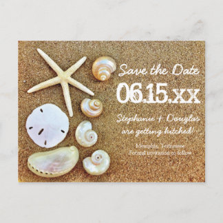 Beach Seashells Salve os cartões postais de data