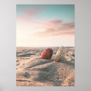 Beach Sunset Sea Shell Beach Poster