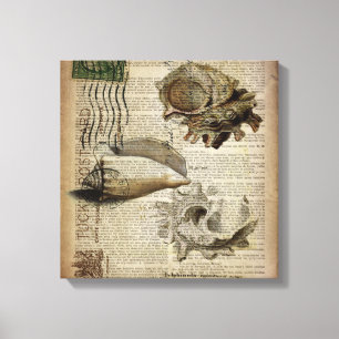 beachtionary impressão moderna vintage seashell