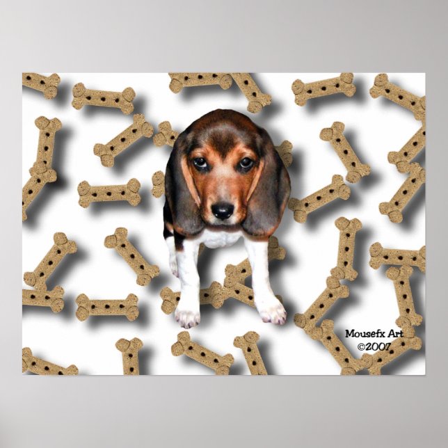 Beagle & Dog Biscuits Poster (Frente)