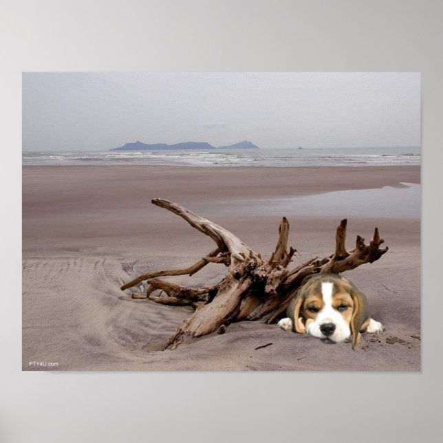 Beagle Puppy Na Poster Da Praia (Frente)
