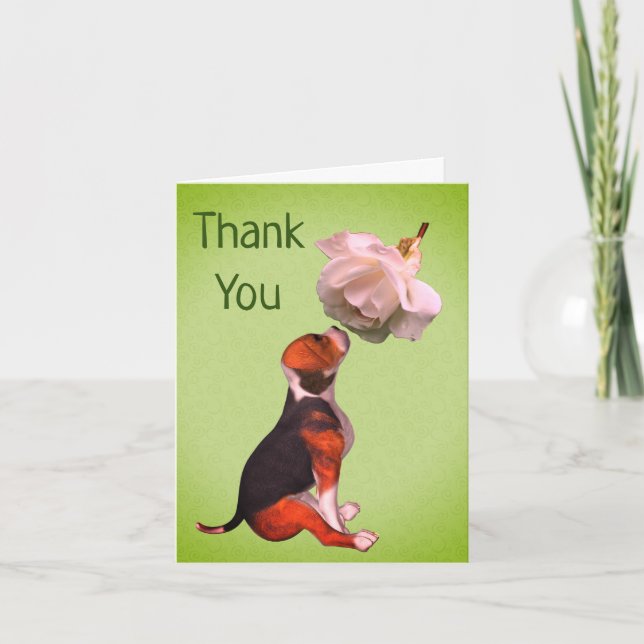 Beagle Puppy White Rose Cartões de agradecimentos (Frente)