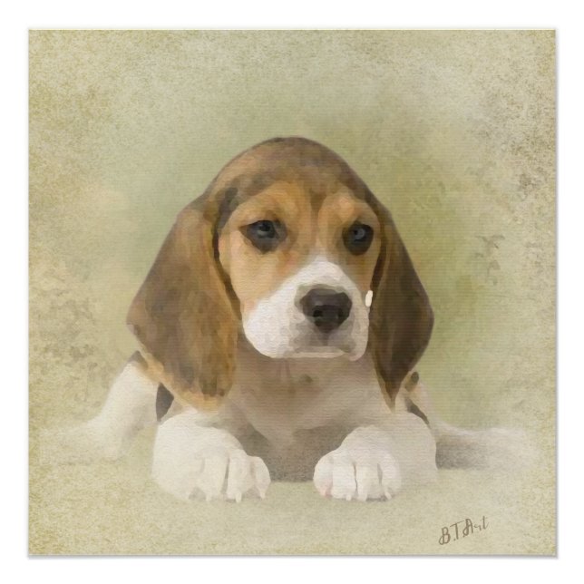 Beagle Tapeçaria Faux Canvas Imprimir Impressão ac (Frente)