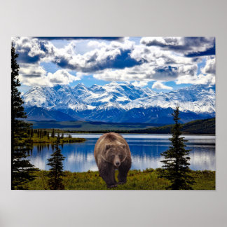 BEAR DENALI PARK ALASKA POSTER