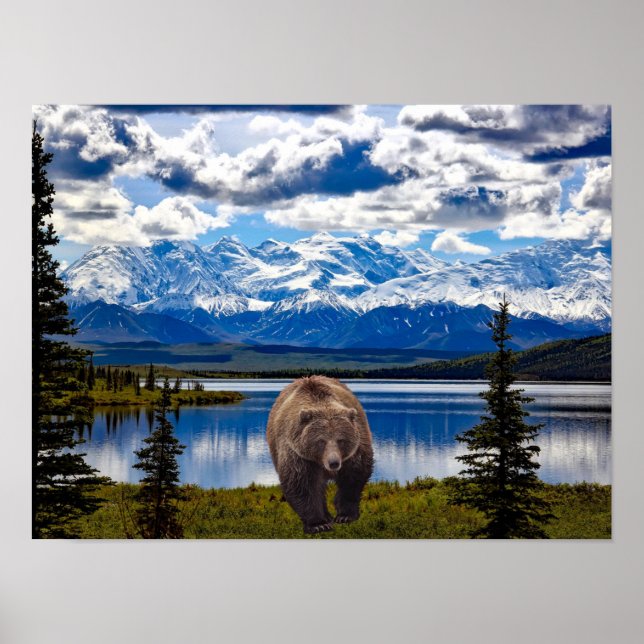BEAR DENALI PARK ALASKA POSTER (Frente)