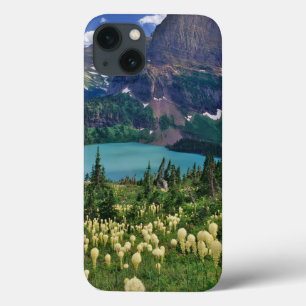 Beargrass acima do Lago Grinnell no Many