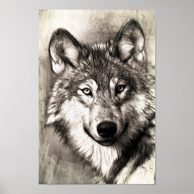 Beautiful Sketch of Wolf's Face Poster (Frente)