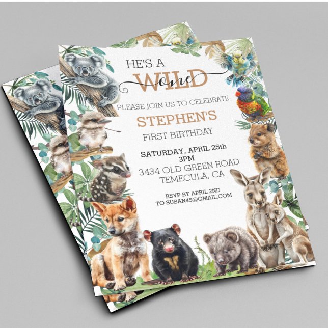 Bebê australiano Selvagem de um aniversário cangur (Criador carregado)