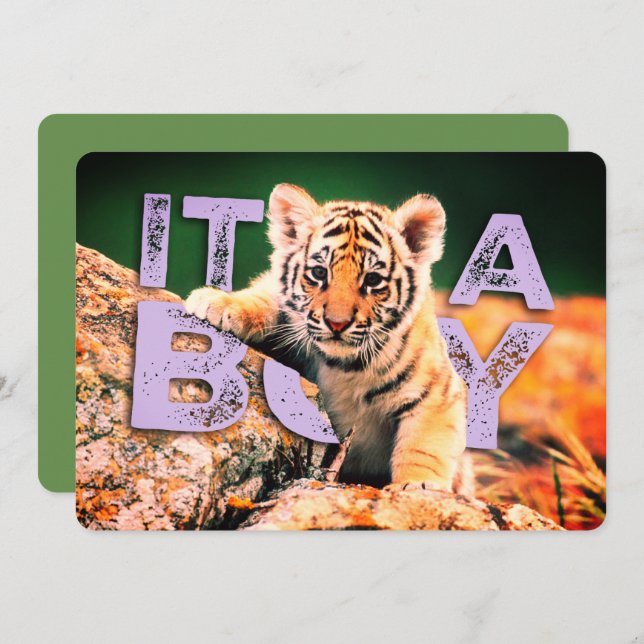 Bebê de NiCK DAViD - convite do chá do tigre (Frente/Verso)