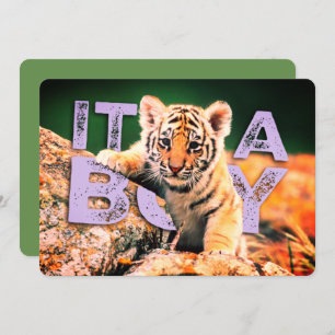 Bebê de NiCK DAViD - convite do chá do tigre