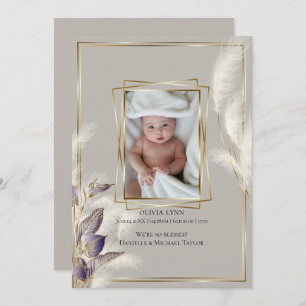 Bebê Foto de Nascimento Anúncio Pampas Grass