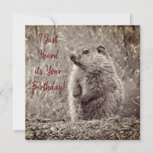 Bebê Groundhog em NEGRO e BRANCO Aniversário