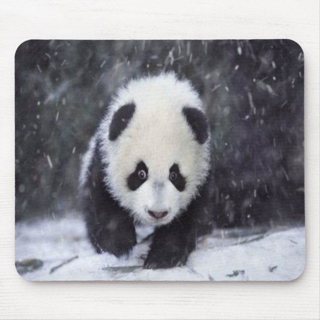 Bebê Mousepad da panda da neve (Frente)